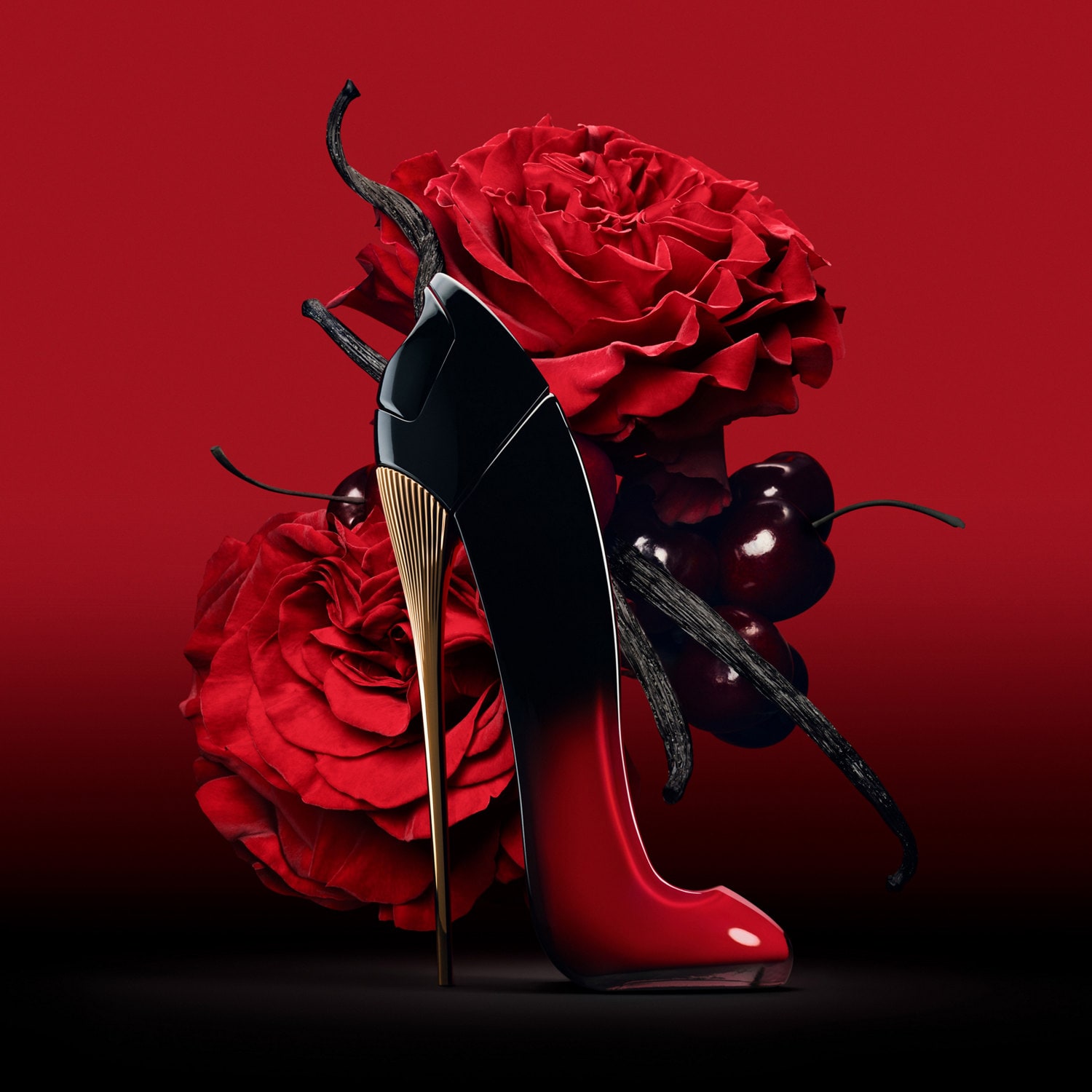 Zestaw Startowy Damskie